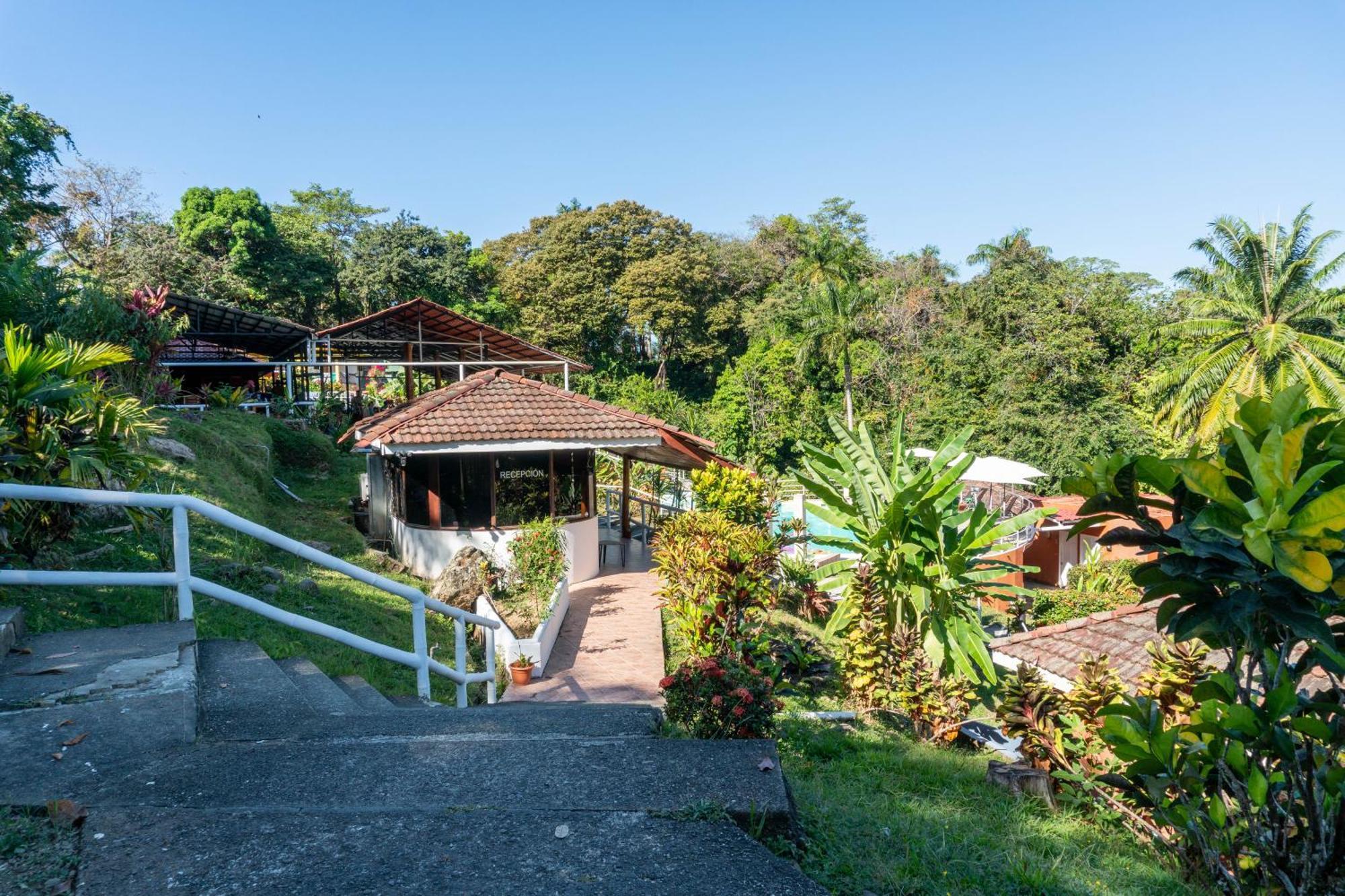 Hotel Bongo - Adults Only à Manuel Antonio Extérieur photo