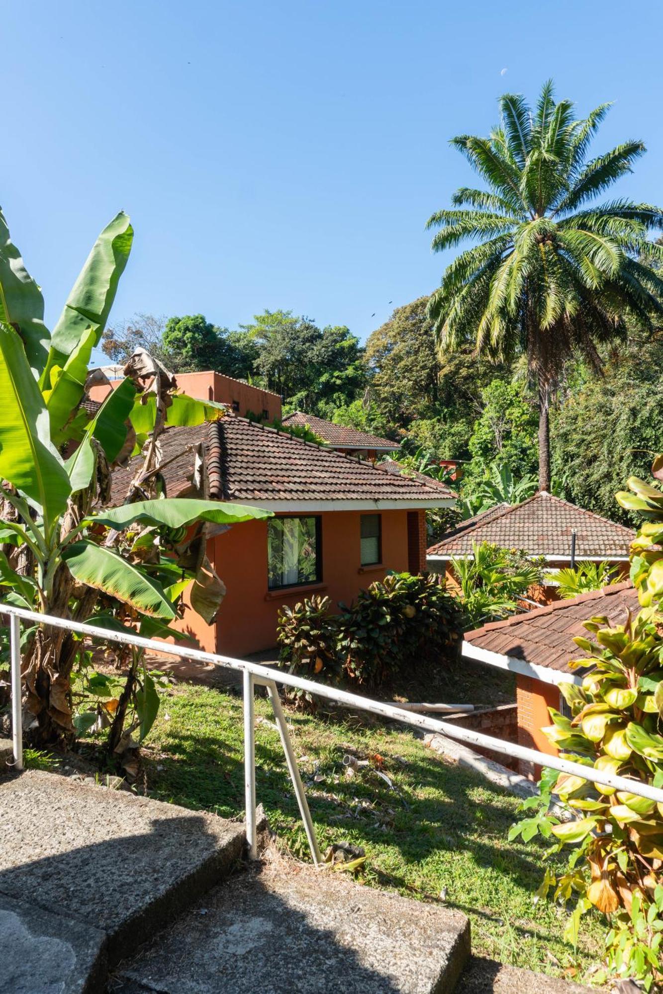 Hotel Bongo - Adults Only à Manuel Antonio Extérieur photo